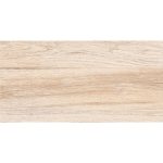 60x30 WOOD matt padlóburkoló ZRF 603001