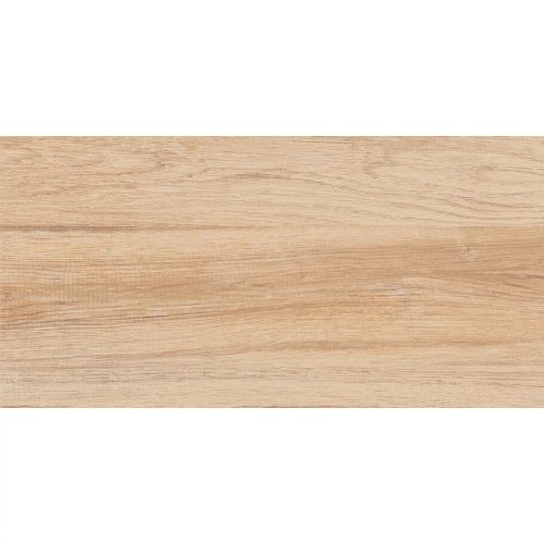 60x30 WOOD matt padlóburkoló ZRF 603002